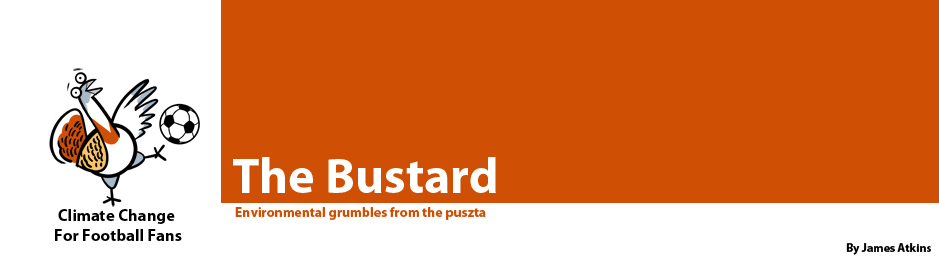 The Bustard
