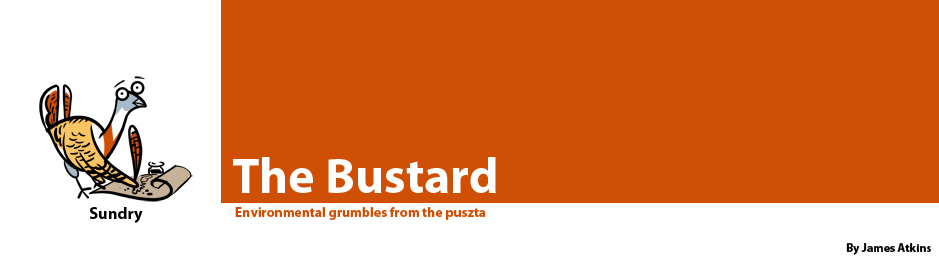 The Bustard